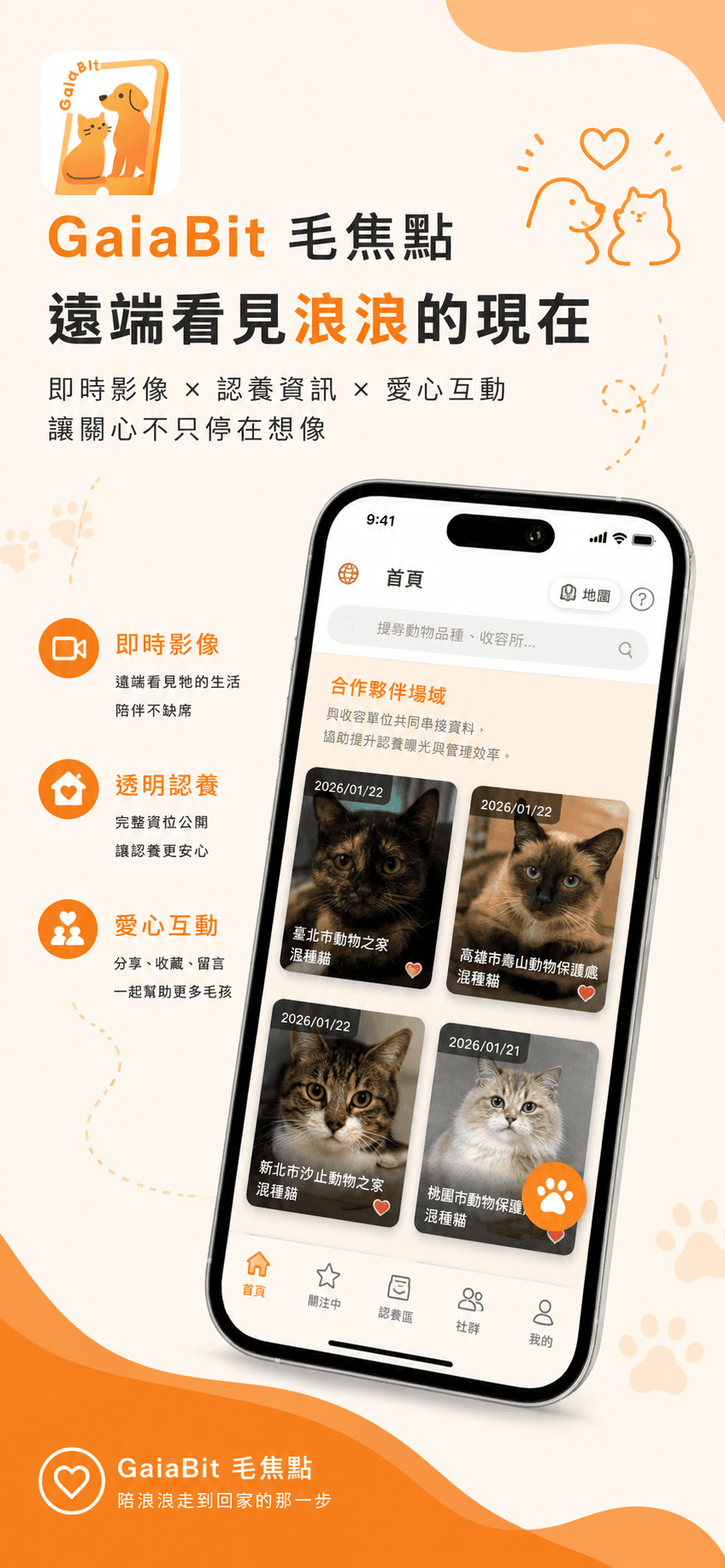 浪浪檔案