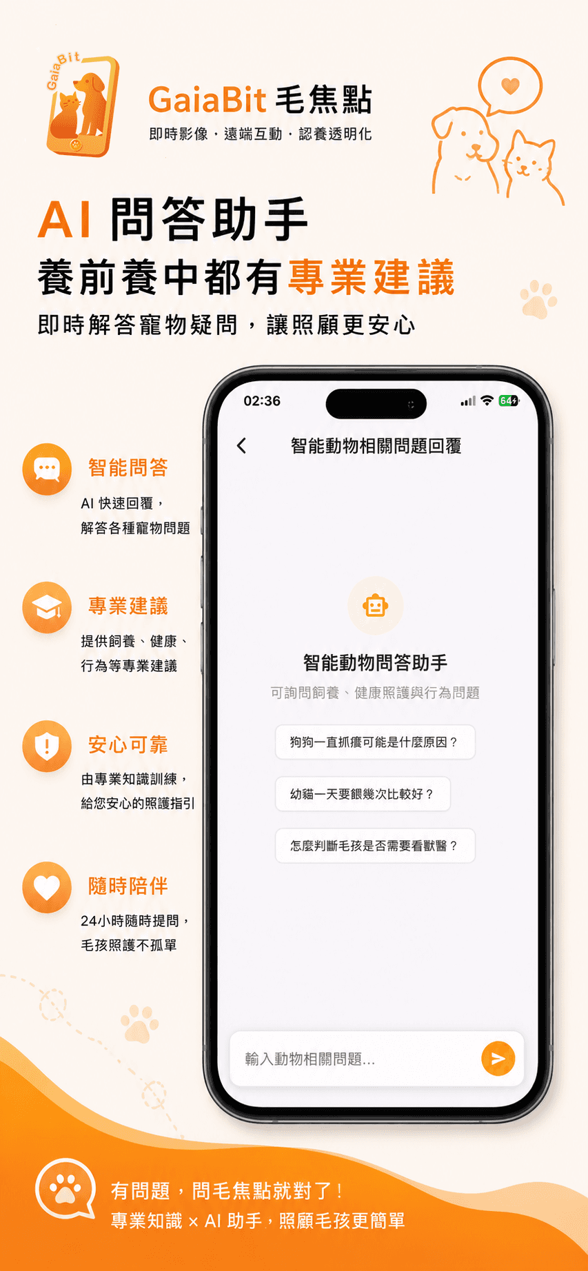 付費觀看