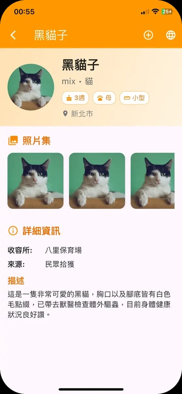 浪浪檔案畫面：黑貓子，3 週大
